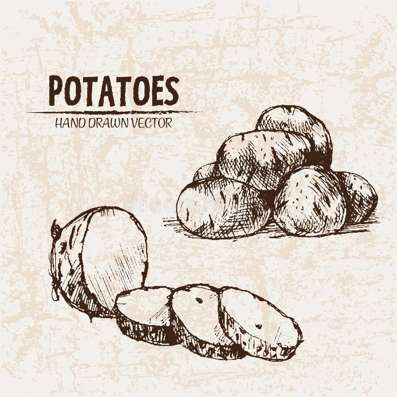 Buy Potato Chan Sweet Potato Comedy Humor Handpainted Online in India  Etsy