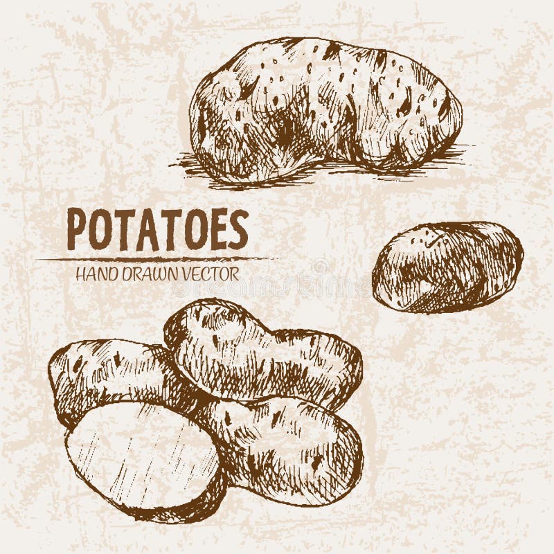 PotatoesGraphite black and white Pencil Drawing ul  OpenArt