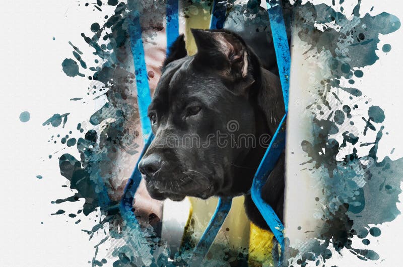 Digital Watercolor Painting of the Italian Dog Breed Cane Corso Stock Image  - Image of splattered, graphic: 226684691