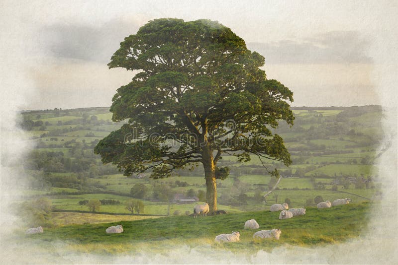 Digital watercolour painting of sheep grazing under a lone tree at sunset on The Roaches