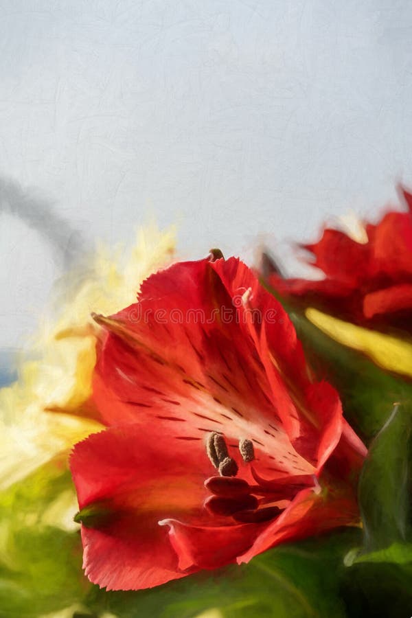 Digitale Malerei von roten peruanischen Lilien in Blüte stockbilder