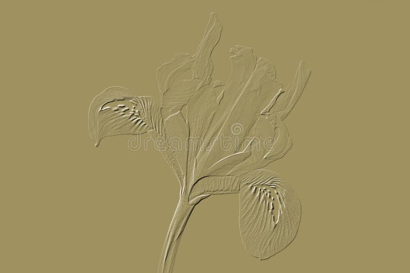 Embossed image of a Iris reticulata stock illustration