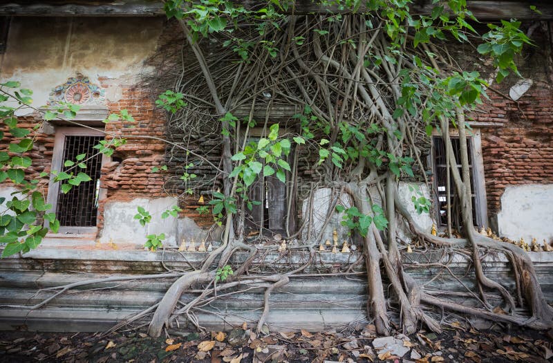 Dilapidated kerk in Wat Rat Bamrung Wat Ngon Kai - Samut Sakhon, Thailand stock foto Dilapidated kerk in Wat Rat Bamrung Wat Ngon Kai - Samut Sakhon, Thailand stock foto