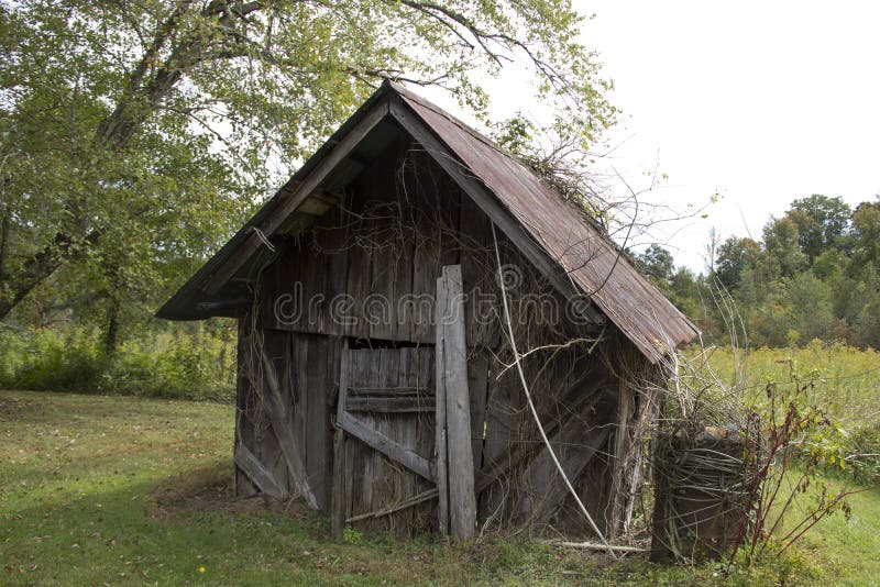 dilapidated-tin-roof-shack-wood-smoke-shed-rural-kentucky-rusty-overgrowth-52215258.jpg