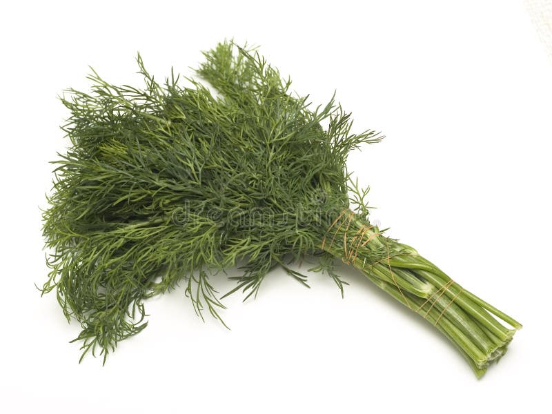 Dill stock image. Image of fresh, nutrition, vegan, culinary 19243391