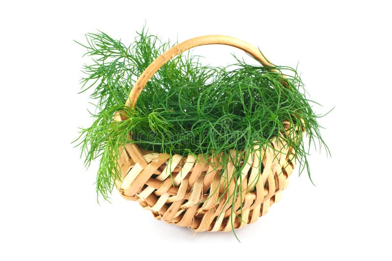 Dill in a basket stock photo. Image of natural, summer 25333124