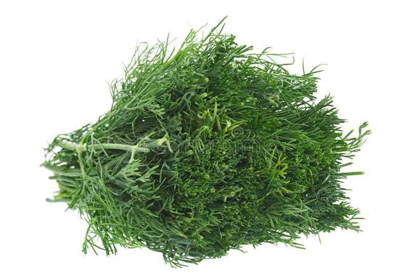 Dill herb chopped on white stock photo. Image of herb 72778608