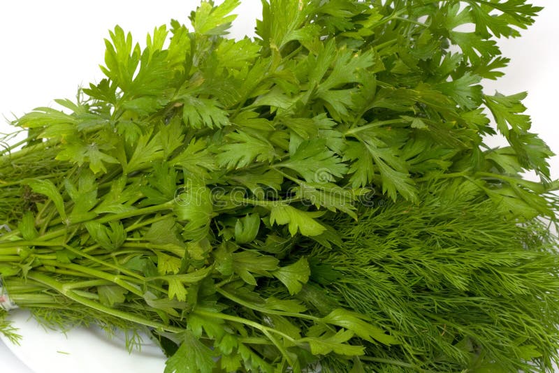 Dill and parsley stock image. Image of bunch, branch 23074835