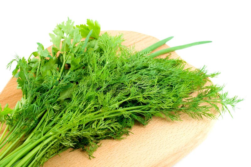 Dill parsley to spices stock photo. Image of horizontal 11669814