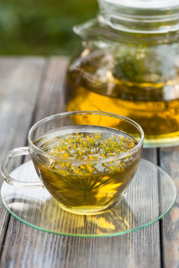 Dill tea stock photo. Image of dill, relax, medicine 44871650