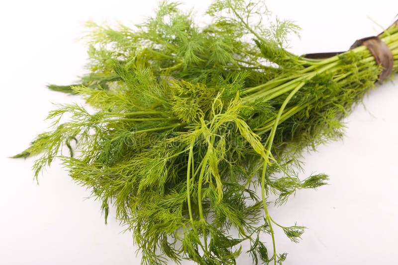 Dill vegetable stock image. Image of fresh, detail, herb 106564067