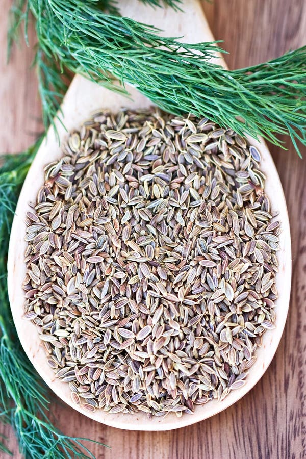 Dill Weed and Seed stock photo. Image of foods, herbs 12381432