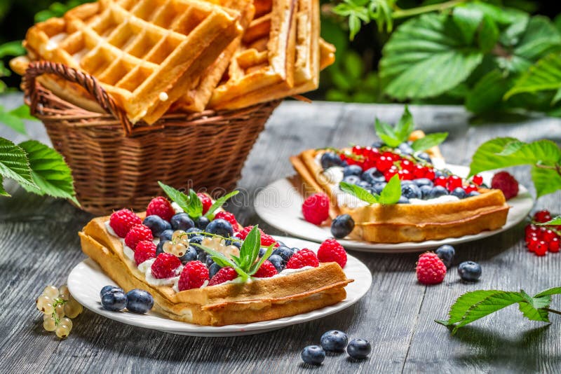 Dillandear med den nya bärfrukt och mintkaramellen spricker ut royaltyfri fotografi Dillandear med den nya bärfrukt och mintkaramellen spricker ut royaltyfri fotografi
