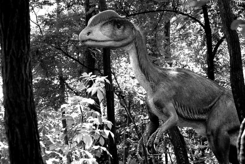 Dilophosaur in the jurassic park. Dilophosaur in the jurassic park