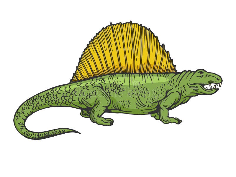 dimetrodon