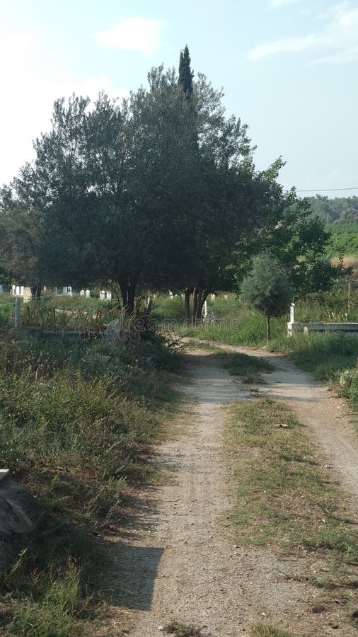 Diminution grassly de la route photos stock Diminution grassly de la route photos stock