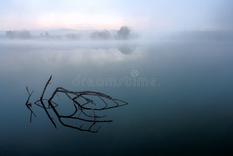 dimmig morgon arkivfoton dimmig morgon arkivfoton