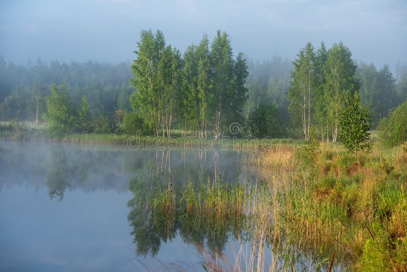 dimmig morgon för lake arkivbild dimmig morgon för lake arkivbild