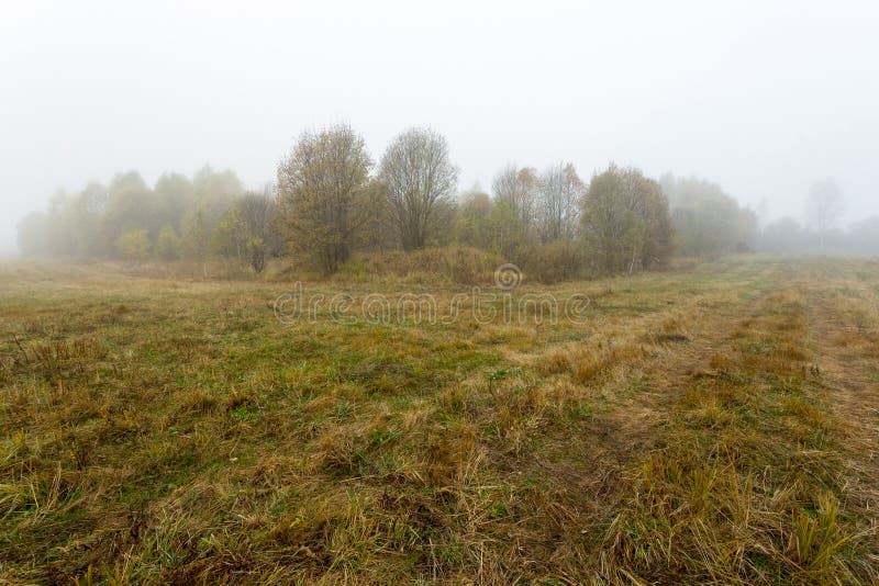 Dimmig morgon höst, fält, by arkivfoto Dimmig morgon höst, fält, by arkivfoto