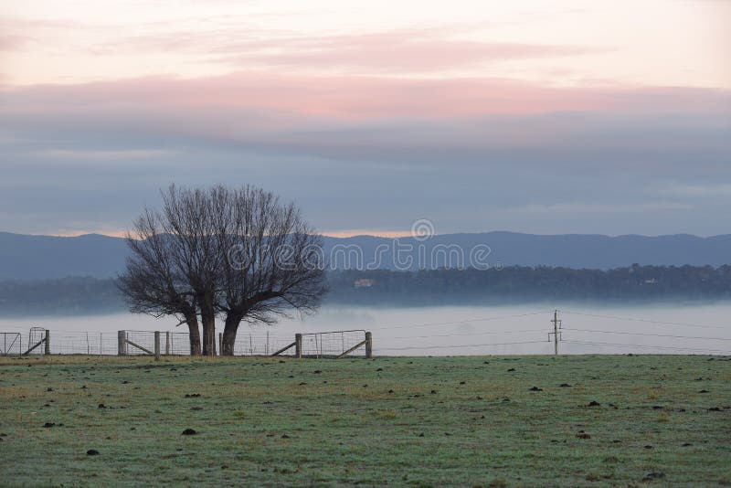 Dimmig vintermorgonbygd och trädkontur royaltyfri foto Dimmig vintermorgonbygd och trädkontur royaltyfri foto