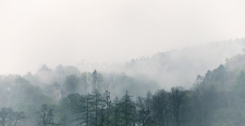 Dimmigt landskap för tappning, skog med moln
