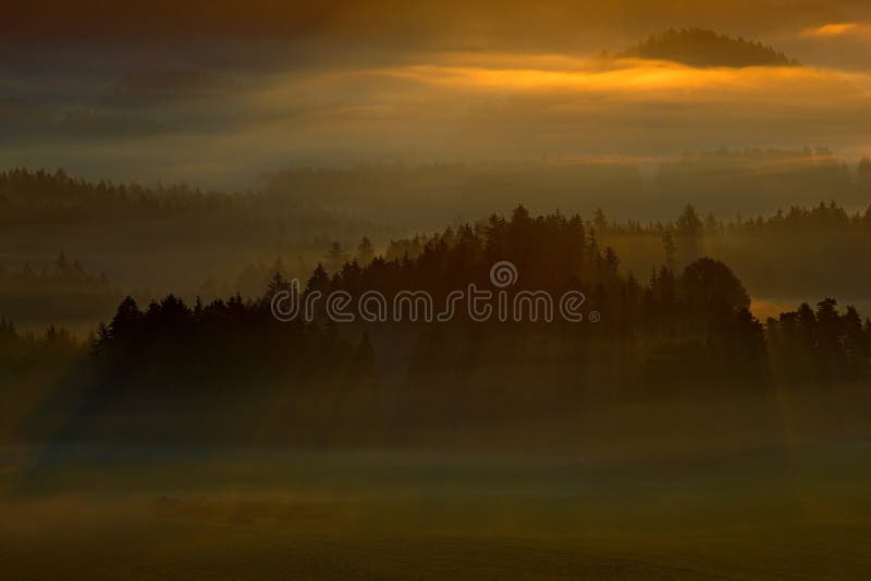 Dimmigt landskap med soluppgång Kall dimmig dimmig morgon med sunr arkivbild Dimmigt landskap med soluppgång Kall dimmig dimmig morgon med sunr arkivbild