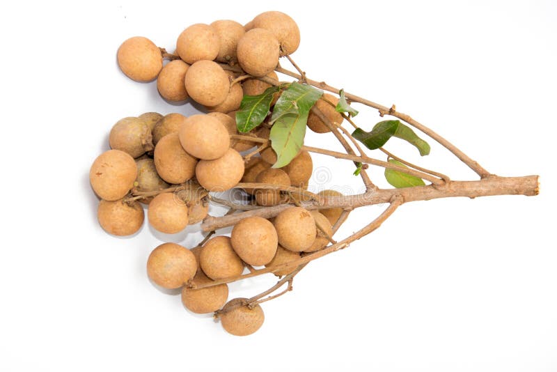 Dimocarpus longan stock photo