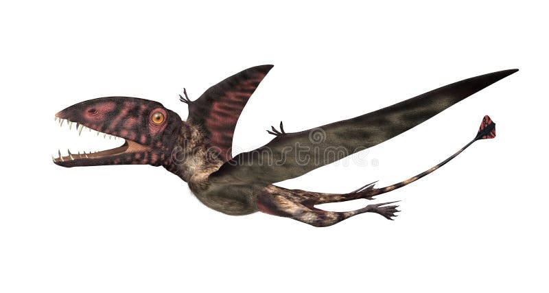Dimorphodon Prehistoryczny Latający gad royalty ilustracja Dimorphodon Prehistoryczny Latający gad royalty ilustracja