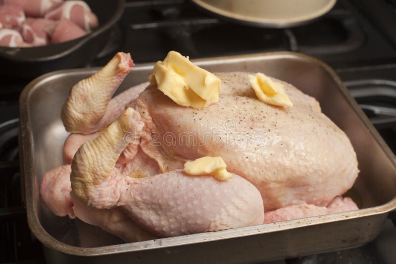 Dinde crue dans une casserole de torréfaction photo stock