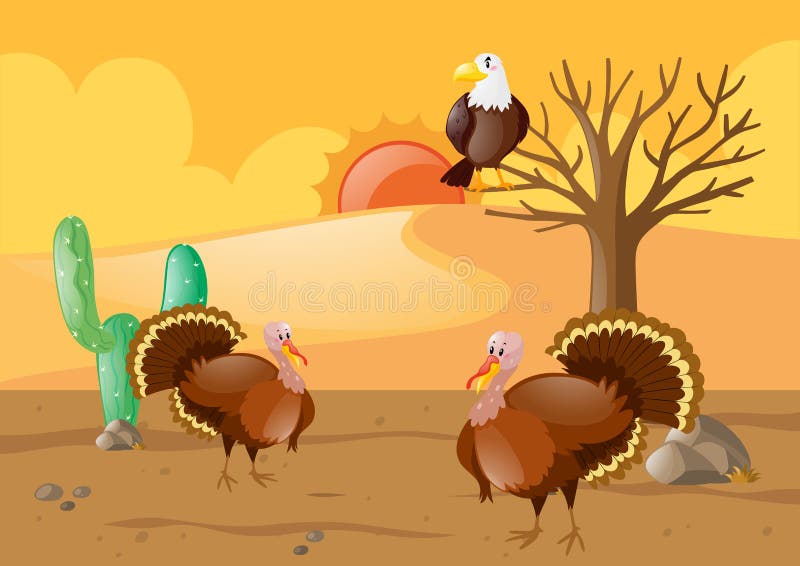 Turkeys and eagle in desert illustration. Turkeys and eagle in desert illustration