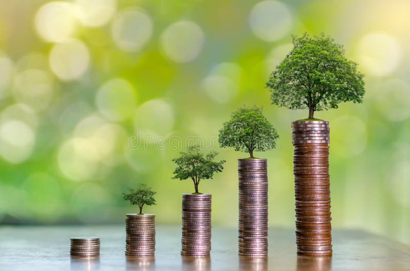 Dinero del ahorro del crecimiento de dinero El árbol superior acuña concepto mostrado de negocio cada vez mayor