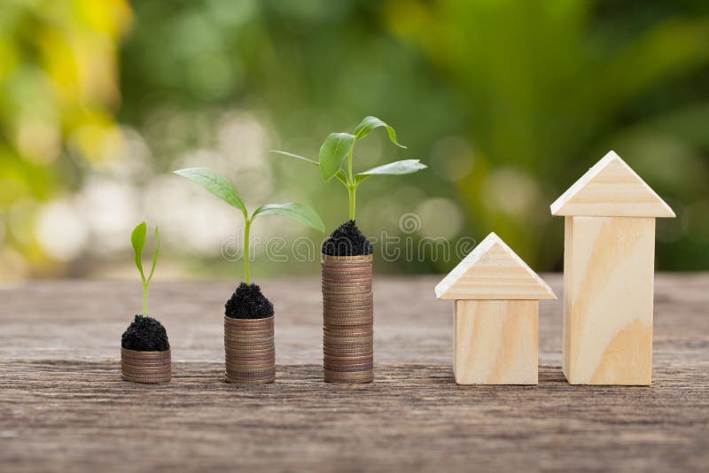 Dinero y planta, concepto de ahorro del dinero, concepto de savi financiero imagen de archivo Dinero y planta, concepto de ahorro del dinero, concepto de savi financiero imagen de archivo