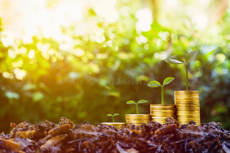 Dinheiro do investimento a longo prazo ou da fatura com os conceitos direitos Um crescimento vegetal na pilha de moedas no bom so imagem de stock Dinheiro do investimento a longo prazo ou da fatura com os conceitos direitos Um crescimento vegetal na pilha de moedas no bom so imagem de stock