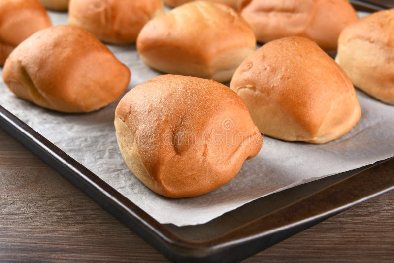 Dinner Rolls on Baking Sheet Stock Photo Image of baked, kitchen