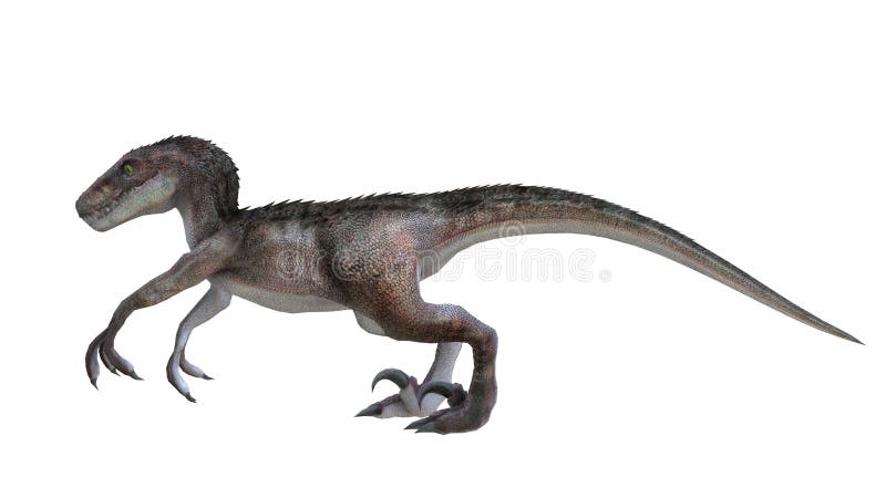 dinosaur stock illustrationer dinosaur stock illustrationer