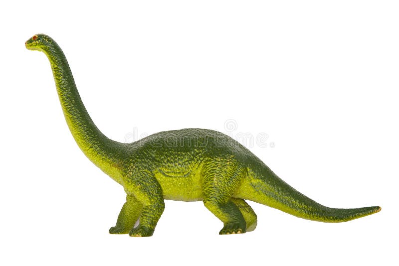 Dinosaur diplodocus isolated on the white background