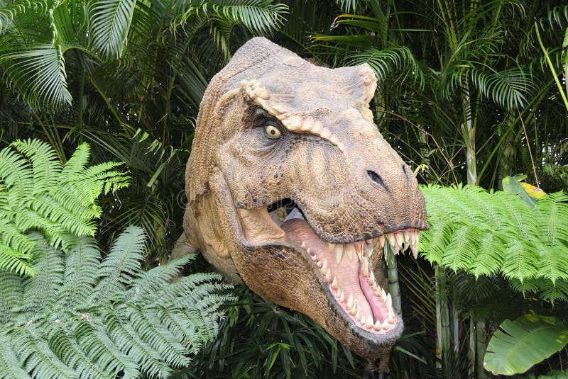 dinosaur dinosaur