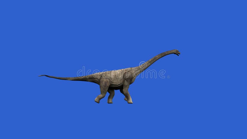 animate a running dinosaur Tyrannosaurus, Stock Video