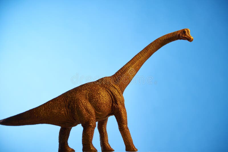 Dinosaur in Blue Background Stock Image Image of powerful, escape