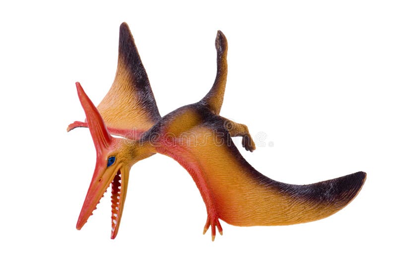 Pteranodon Pterodactyl Dinosaur on white background 8844452 PNG