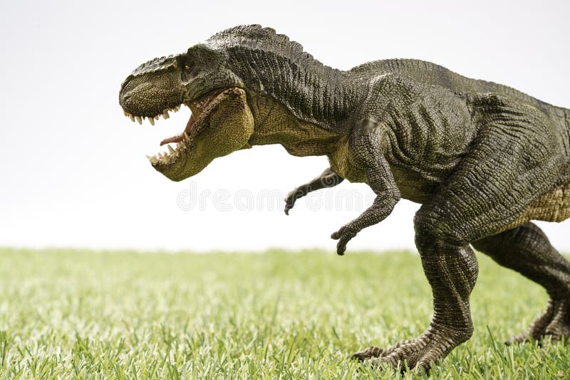 Close up Isolated dinosaur on grass background