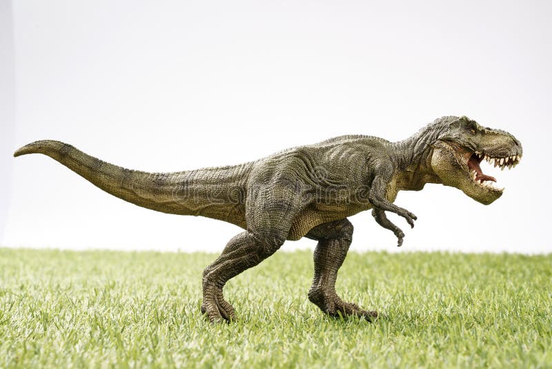 Close up Isolated dinosaur on grass background