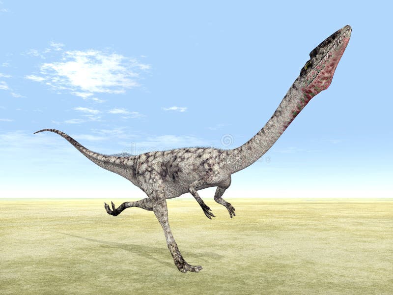 Coelophysis 03 Clipart - Dino Desenho - Png Download, clipart, png clipart