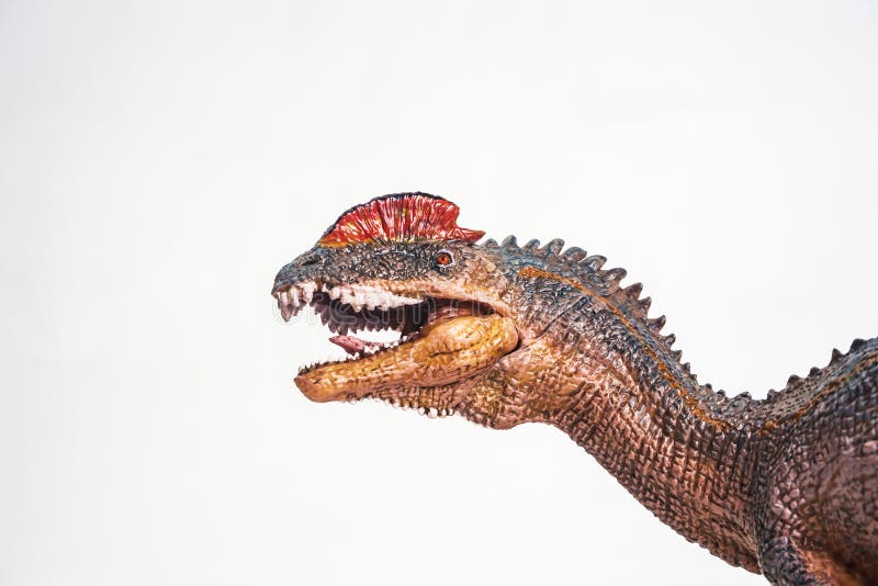 137 Dilophosaurus Photos Free Royalty Free Stock Photos From Dreamstime