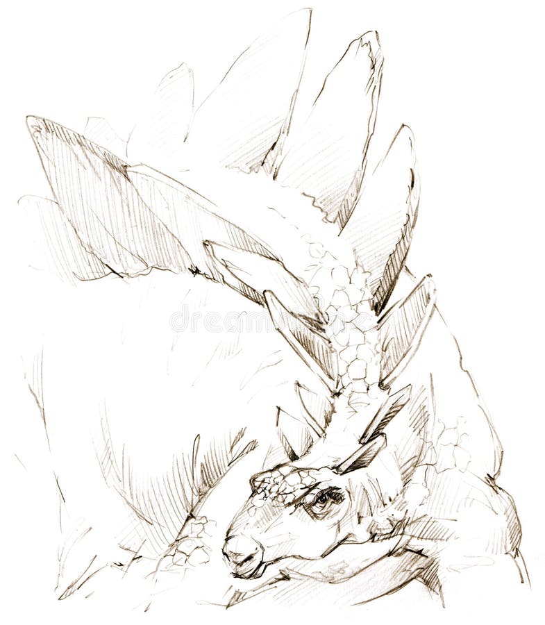 T-Rex Sketch by tcdehoyos on DeviantArt