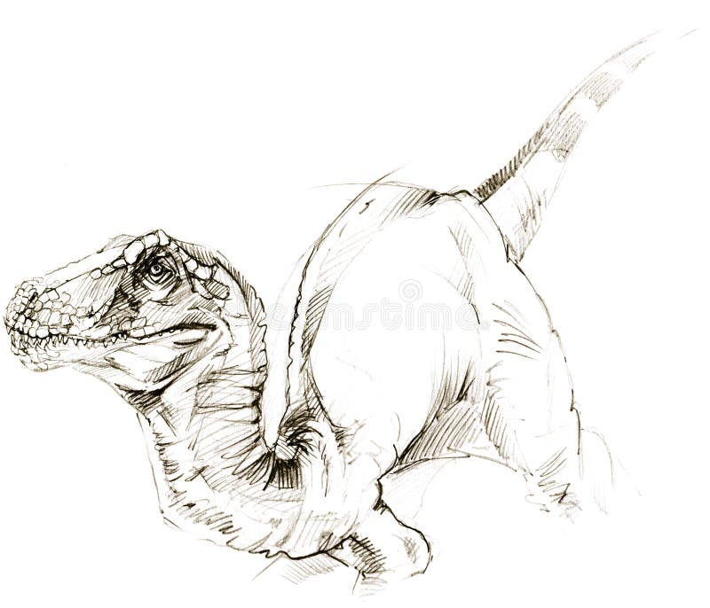 Update more than 228 dinosaur sketch images