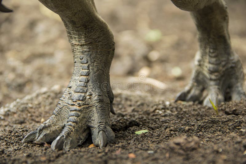Dinosaur feet walking