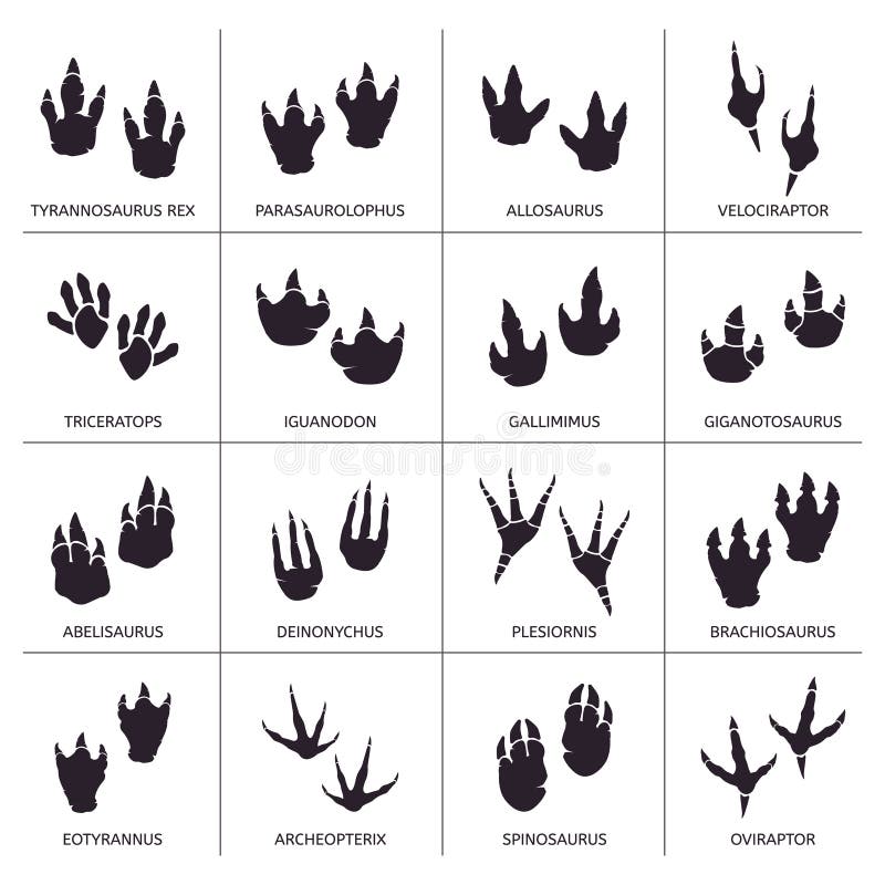 Dinosaur footprint. Reptile foot anatomy, ancient predator animals footprint tracks, paleontology dino traces vector