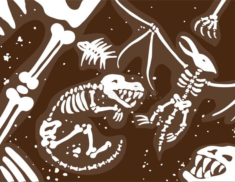 Dinosaur Fossils and Bones stock vector. Illustration of graphic - 9264938