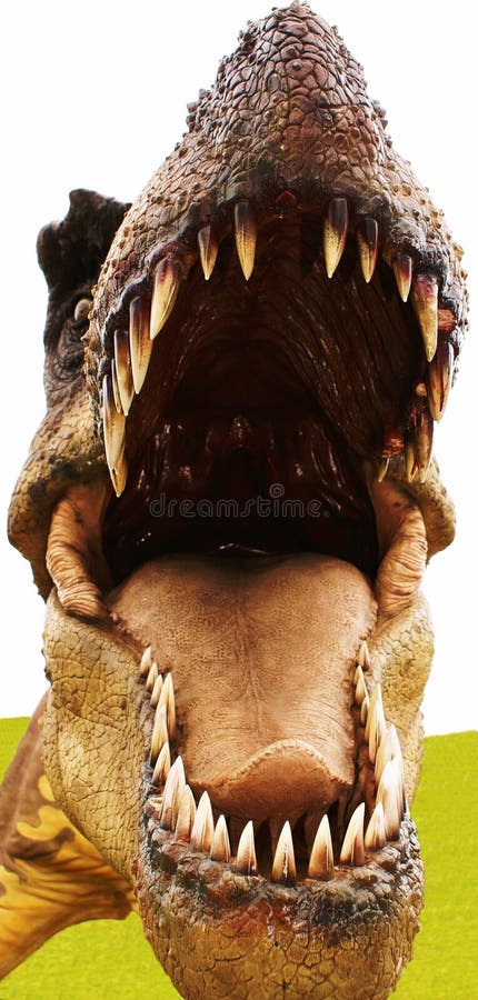 The head of a dinosaur